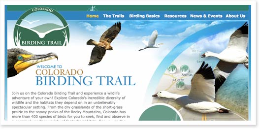 Colorado Birding Trail Website
