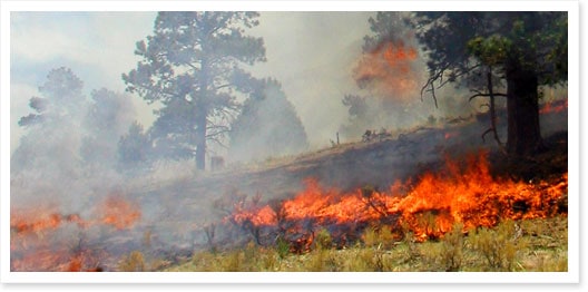 Medano Fire in Great Sand Dunes National Park - Photo by NPS/David Eaker